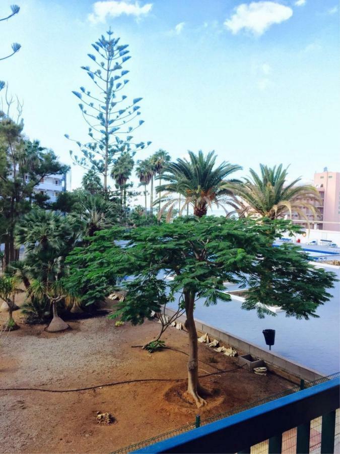Enjoy The Sea And Pool In Playa De Las Americas Playa de las Americas (Tenerife) Exterior foto